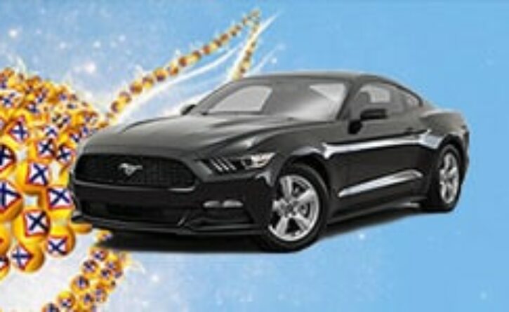 Mustang ve Sportce