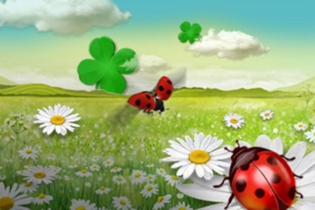 Stírací los Štístko od Sazky