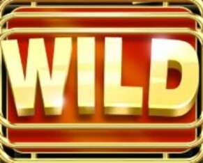 Symbol WILD Symbol automatu Blind Wild od Adell