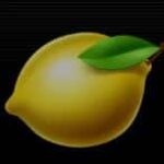 Symbol Citron automatu Blind Wild od Adell