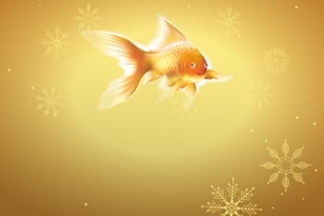 Stírací los Vánoční zlatá rybka od Sazky