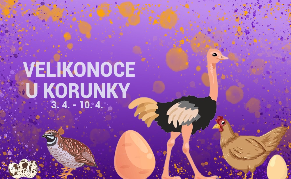 Velikonoce U Korunky Pr v Za naj Co M e Z skat Vyhraj cz