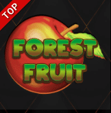 Forest Fruit v Herně U Dědka