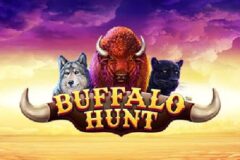 Buffalo Hunt od SYNOT Games