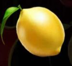 Symbol Citron automatu Fruit Awards od SYNOT Games