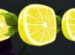 Symbol Citron automatu Dicey Fruits od SYNOT Games