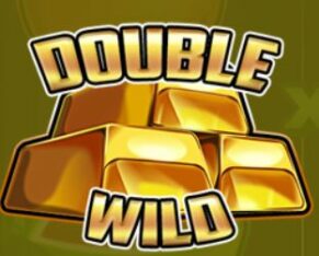 Symbol Double WILD automatu Fruity Gold od SYNOT Games