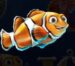 Symbol Oranžovo bílá rybka automatu Dolphin’s Wild Ride od SYNOT Games