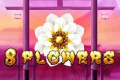 8 Flowers od SYNOT Games