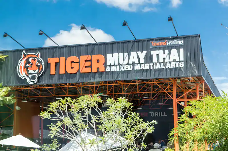 Tiger gym phuket, místo přípravy bojovníků clash of the stars 6