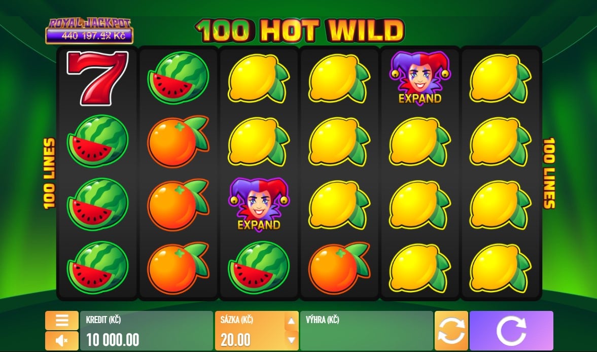 automat 100 hot wild fortuna