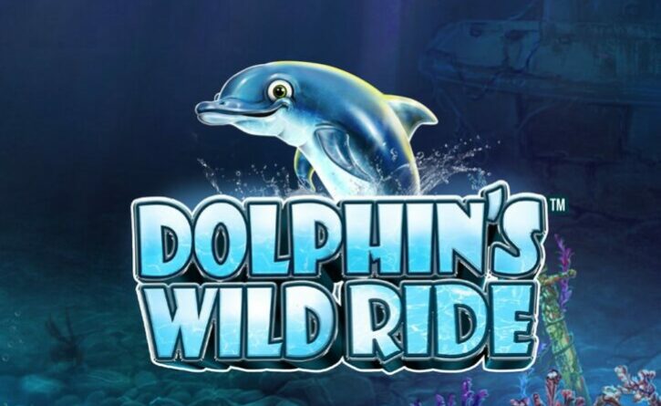 Dolphin's Wild Ride