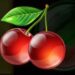 Symbol Třešně automatu Fruiti XL od SYNOT Games