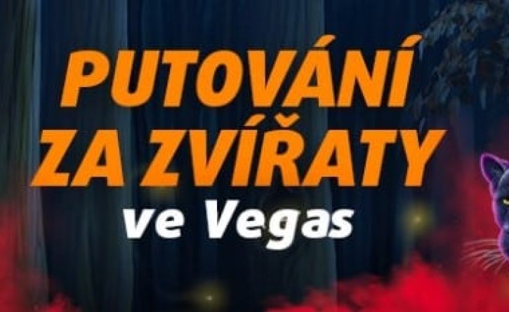 akce putování za zvířaty ve vegas tipsport chance