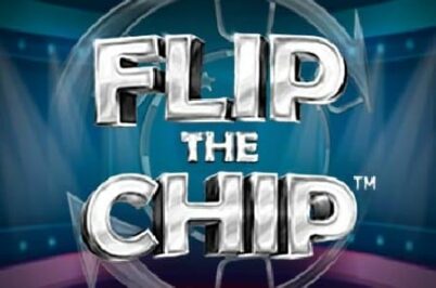 Flip the Chip od SYNOT Games