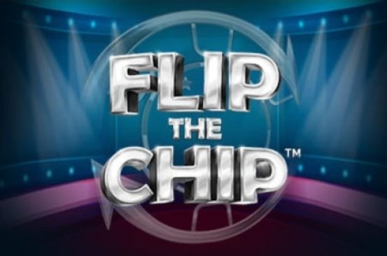 Flip the Chip od SYNOT Games