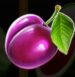 Symbol Višeň automatu Fruits N´Fire od SYNOT Games