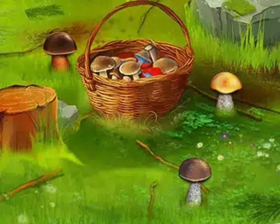 Online stírací los Houbařská sezóna od Sazky