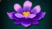 Symbol Fialová kytka automatu Wild Blooms od SYNOT Games
