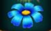 Symbol Modrá kytka automatu Wild Blooms od SYNOT Games