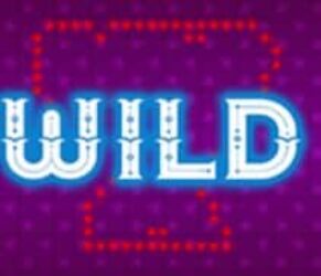 Symbol WILD Symbol automatu WILD Circus 256 od SYNOT Games