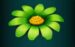 Symbol Zelená kytka automatu Wild Blooms od SYNOT Games