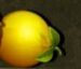 Symbol Citron automatu Fruit Bomb od eGaming