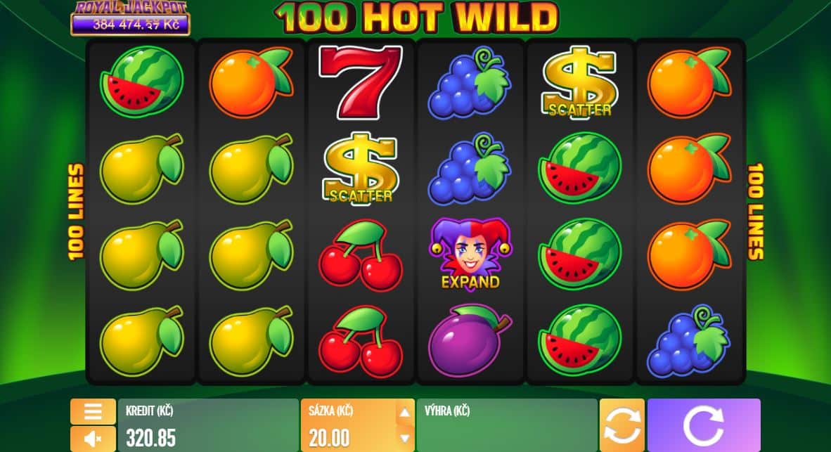 Hra 100 Hot Wild od výrobce Tech4Bet