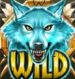 Symbol WILD Symbol automatu Coywolf Cash od Play'n GO