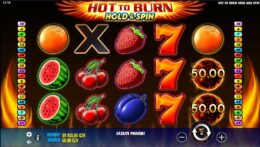 Hot to Burn Hold and Spin automat