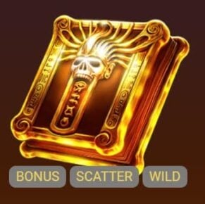 Symbol Wild & Scatter symbol automatu Boofa od Apollo Games