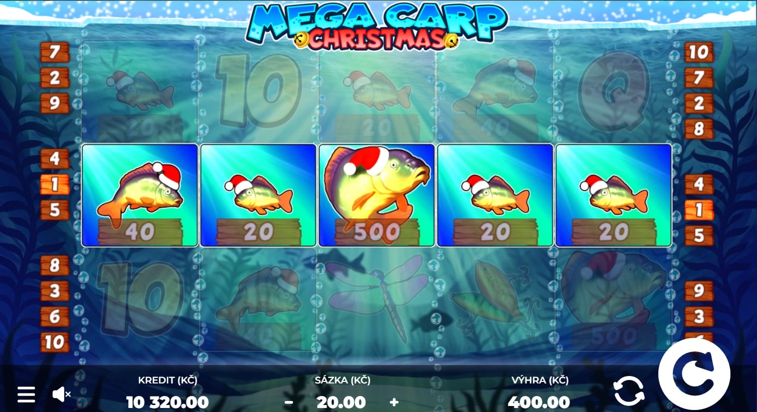 Mega carp Christmas automat