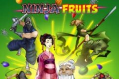 Ninja Fruits od Play'n GO