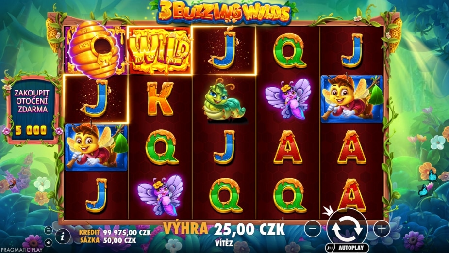 Téma a symboly 3 Buzzing Wilds™