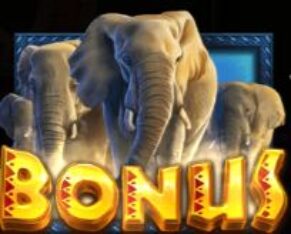 Symbol WILD SHAPE / BONUS automatu African Elephant™ od Pragmatic Play