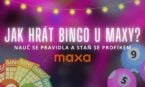 Bingo online u Maxy: Zjisti, jak se hraje a vsaď si na správná čísla