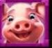 Symbol Prase automatu Barnyard Megahays Megaways™ od Pragmatic Play