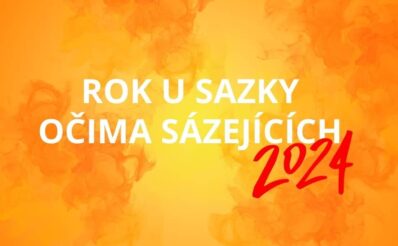 Jak vypadal rok 2024 očima hráčů Sazky?