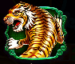 Symbol Tygr automatu 8 Dragons™ od Pragmatic Play