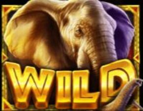 Symbol WILD Symbol automatu African Elephant™ od Pragmatic Play