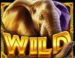 Symbol WILD Symbol automatu African Elephant™ od Pragmatic Play