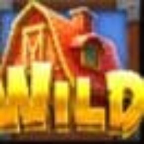 Symbol WILD Symbol automatu Barnyard Megahays Megaways™ od Pragmatic Play