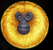 Symbol Zlatá opice automatu 7 Monkeys™ od Pragmatic Play