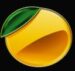 Symbol Citron automatu 81 Multiways Premium od Casimi