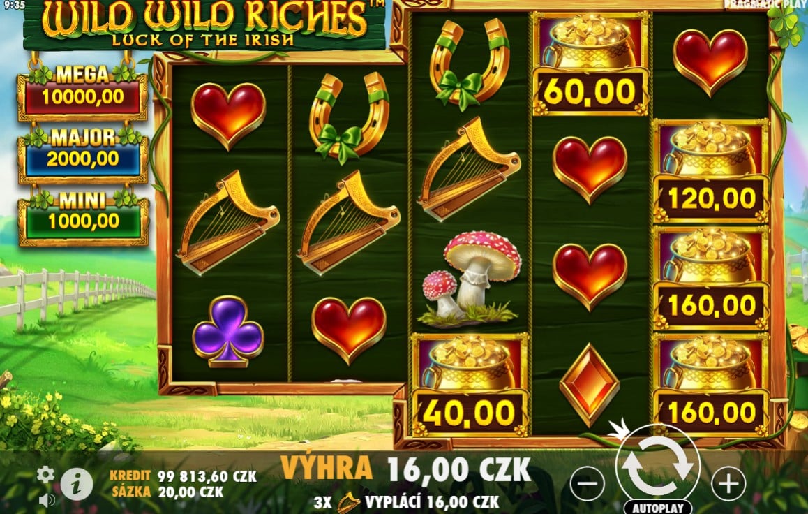 Wild Wild riches demo automat