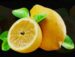 Symbol Citrony automatu Respin Bells od Casimi