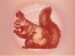 Symbol Veverka automatu Beastie Bux od Tom Horn Gaming