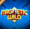 Magnet Wild