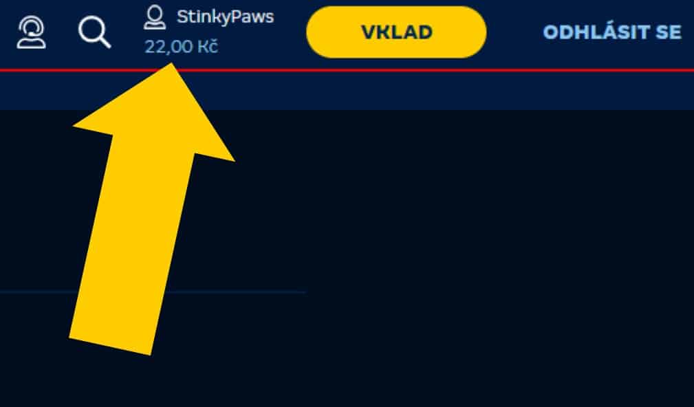 Výběr - profil