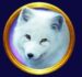 Symbol Liška polární automatu Frozen Queen od Tom Horn Gaming